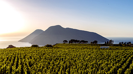 Tenuta die Castellaro mit Blick auf die Insel Salina