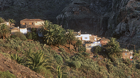 Masca